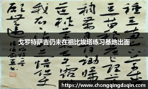 戈罗特萨吉仍未在祖比埃塔练习基地出面